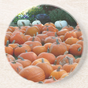 Dessous De Verre En Grès Citrouilles et Chrysanthèmes Photographie de la ré