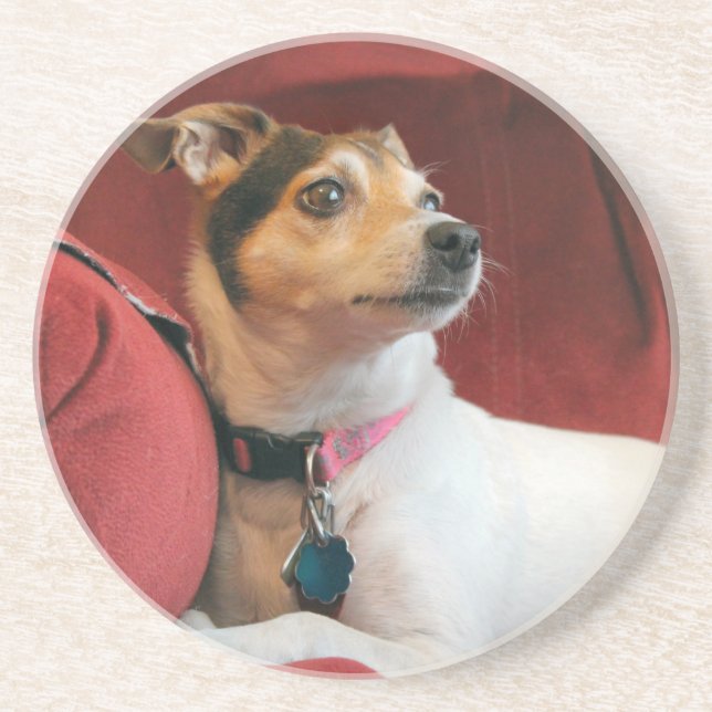 Dessous De Verre En Grès Classique (Devant)