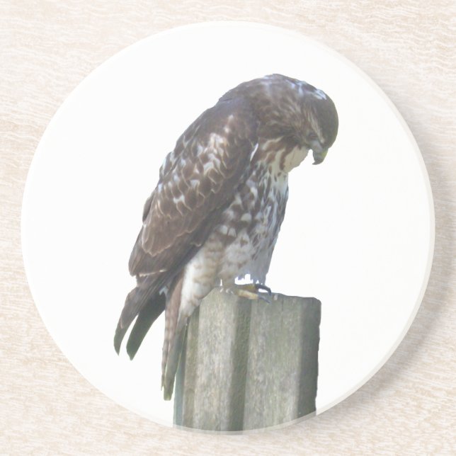 Dessous De Verre En Grès Coaster - Falcon (Devant)