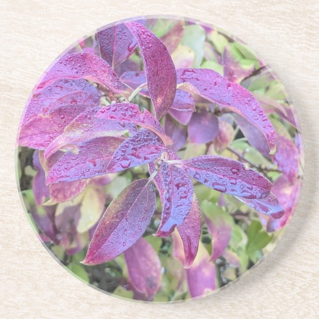 Dessous De Verre En Grès Coaster with leaves (Devant)