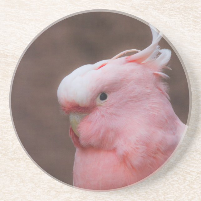Dessous De Verre En Grès Cockatoo rose (Devant)