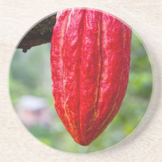 Dessous De Verre En Grès cocod