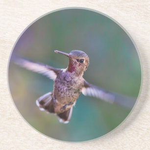 Dessous De Verre En Grès Colibri