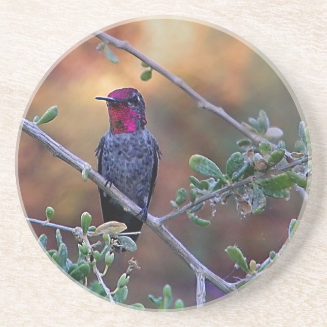 Dessous De Verre En Grès Colibri au coucher du soleil (Devant)