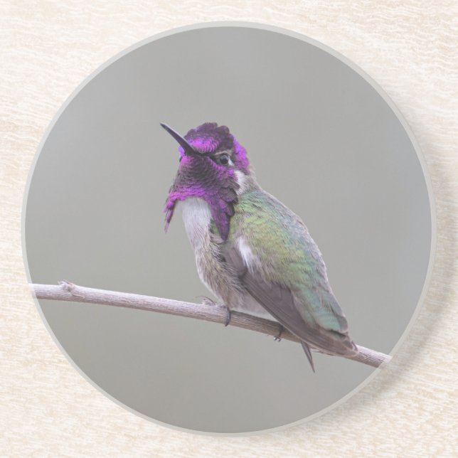 Dessous De Verre En Grès Colibri de Costa (Devant)