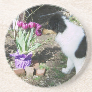 Dessous De Verre En Grès Collie Pup Sent les fleurs