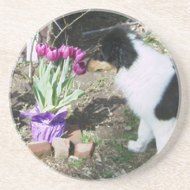 Dessous De Verre En Grès Collie Pup Sent les fleurs (Devant)