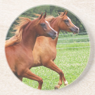 Dessous De Verre En Grès Colts en pierre assoiffés du caboteur 1 BOGO