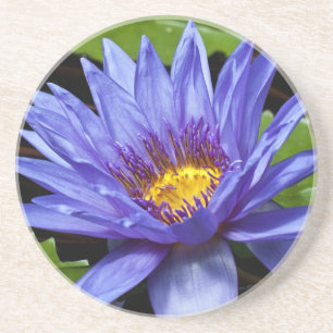 Dessous De Verre En Grès Conception botanique florale de nénuphar tropical