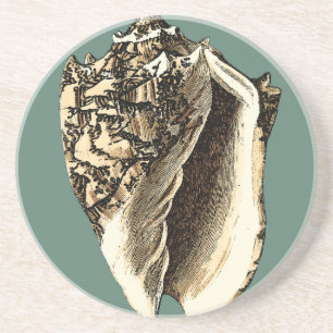 Dessous De Verre En Grès Conque turquoise Shell