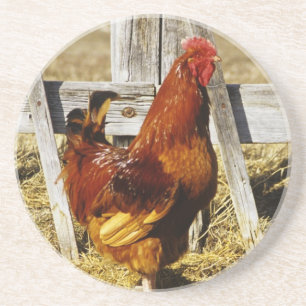 Dessous De Verre En Grès Coq Rhode Island Red