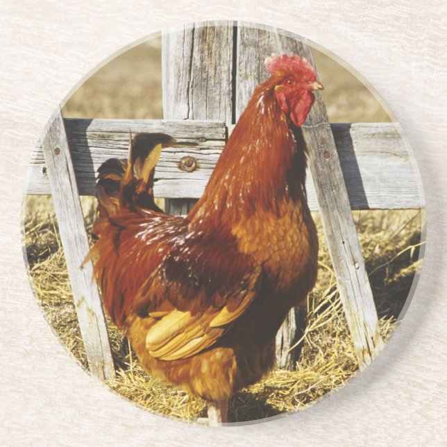 Dessous De Verre En Grès Coq Rhode Island Red (Devant)