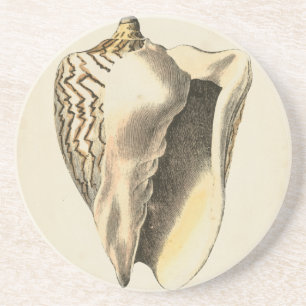 Dessous De Verre En Grès Coque vintage Sepia Conch