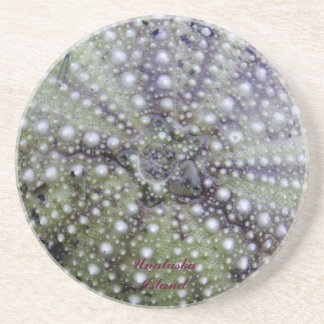 Dessous De Verre En Grès Coquillage d'oursin