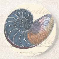 Coquillage romantique