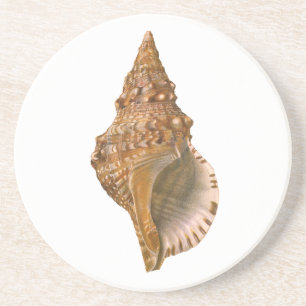 Dessous De Verre En Grès Coquille de Triton vintage, animal marin océanique