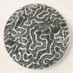 Dessous De Verre En Grès Corail noir et blanc II Abstrait Nature Photo