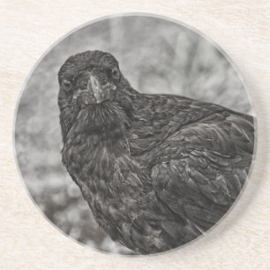 Dessous De Verre En Grès Corbeau P9239