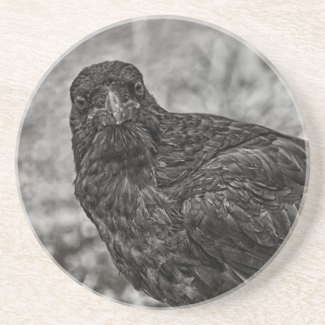 Dessous De Verre En Grès Corbeau P9239 (Devant)