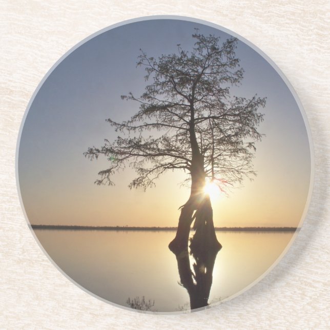 Dessous De Verre En Grès Coucher de soleil derrière un arbre (Devant)