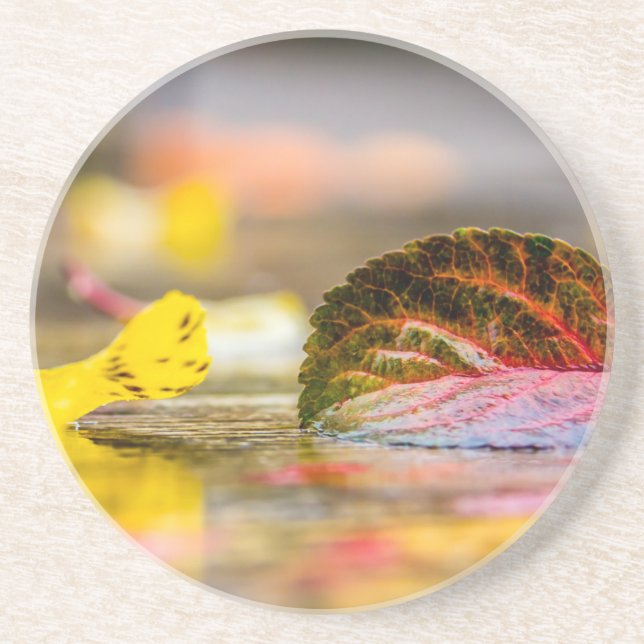 Dessous De Verre En Grès Couleurs d'automne (Devant)