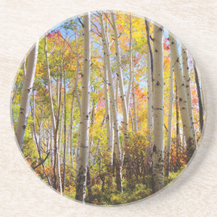 Dessous De Verre En Grès Couleurs d'automne des arbres d'Aspen 5