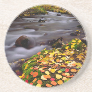 Dessous De Verre En Grès Couleurs d'automne le long de McGee Creek
