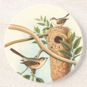 Dessous De Verre En Grès Couples d'oiseau sur un nid été perché sur une