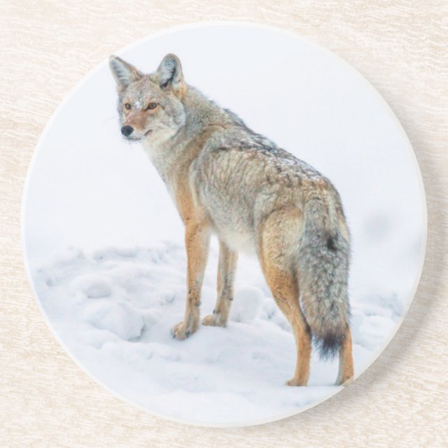 Dessous De Verre En Grès Coyote aux aguets dans la neige (Devant)