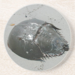 Dessous De Verre En Grès Crabe du fer à cheval