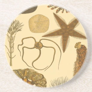 Dessous De Verre En Grès Créatures sous-marines de mer