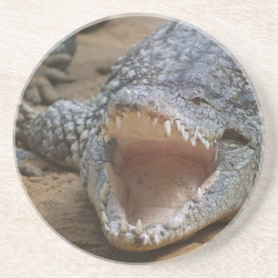 Dessous De Verre En Grès Crocodile