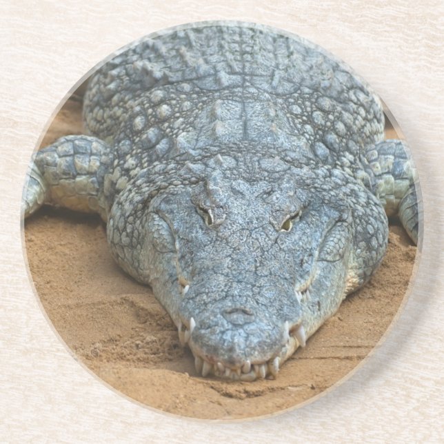 Dessous De Verre En Grès Crocodile (Devant)