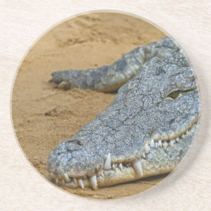 Dessous De Verre En Grès Crocodile