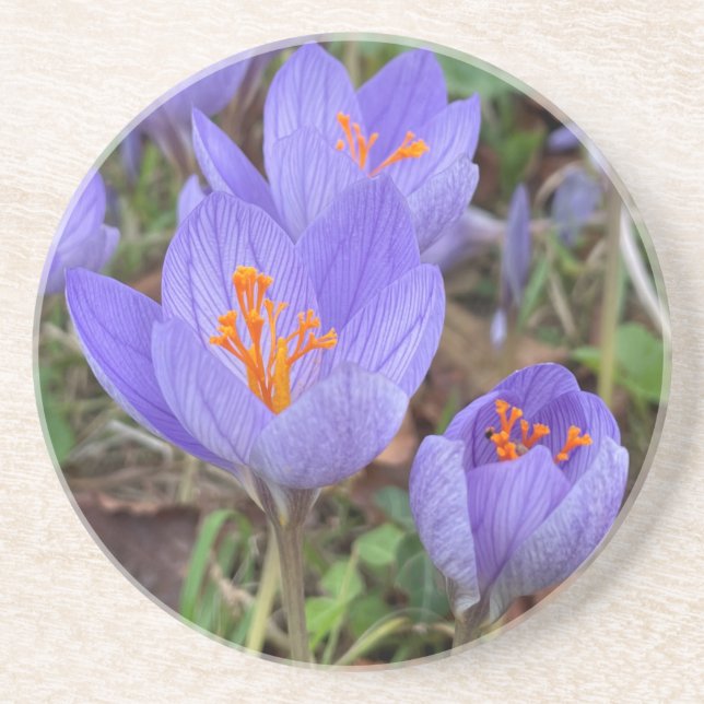 Dessous De Verre En Grès Crocus (Devant)