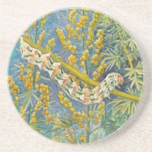 Dessous De Verre En Grès Cucullia Absinthii Wormwood
