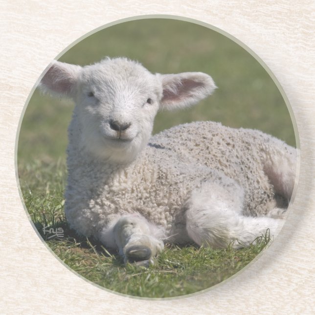 Dessous De Verre En Grès Cute Lamb Coaster (Devant)