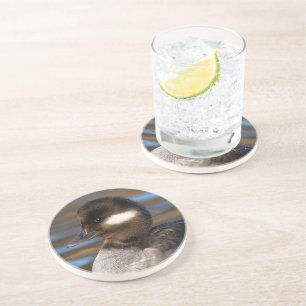 Dessous De Verre En Grès Cute Little Bufflehead Canard sur les eaux illumin