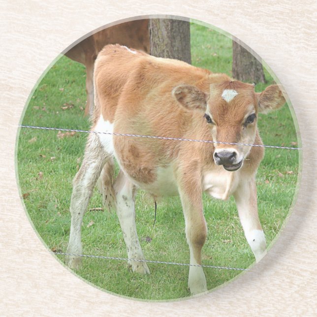 Dessous De Verre En Grès Cute Little Calf (Devant)