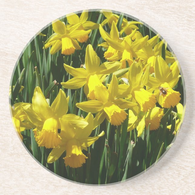 Dessous De Verre En Grès Daffodiles Jaunes I Fleurs De Printemps Cheveux (Devant)