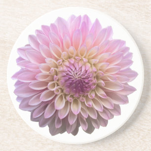 Dessous De Verre En Grès Dahlia Coralie, Fleur rose