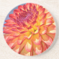Dahlia orange et jaune