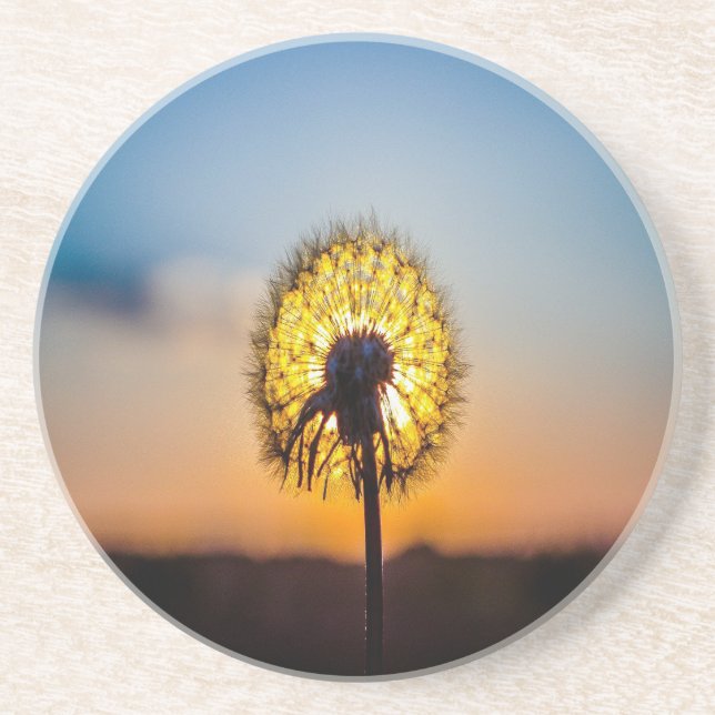 Dessous De Verre En Grès Dandelion au lever du soleil (Devant)