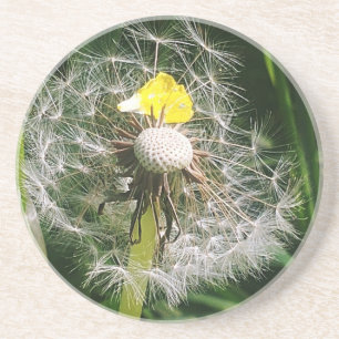 Dessous De Verre En Grès Dandelion mignon
