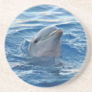 Dessous De Verre En Grès Dauphin