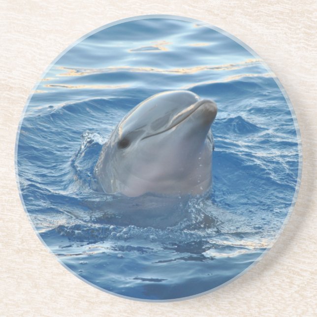 Dessous De Verre En Grès Dauphin (Devant)