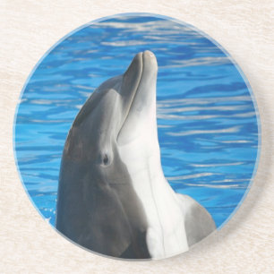 Dessous De Verre En Grès Dauphin Mignon Plage Paix Amour Fête Destinée