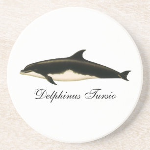 Dessous De Verre En Grès Dauphins Delphinus Tursio, Animaux Marins Vintage