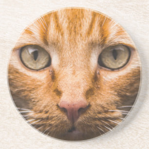 Dessous de verre en grès de chat