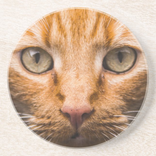 Dessous de verre en grès de chat (Devant)